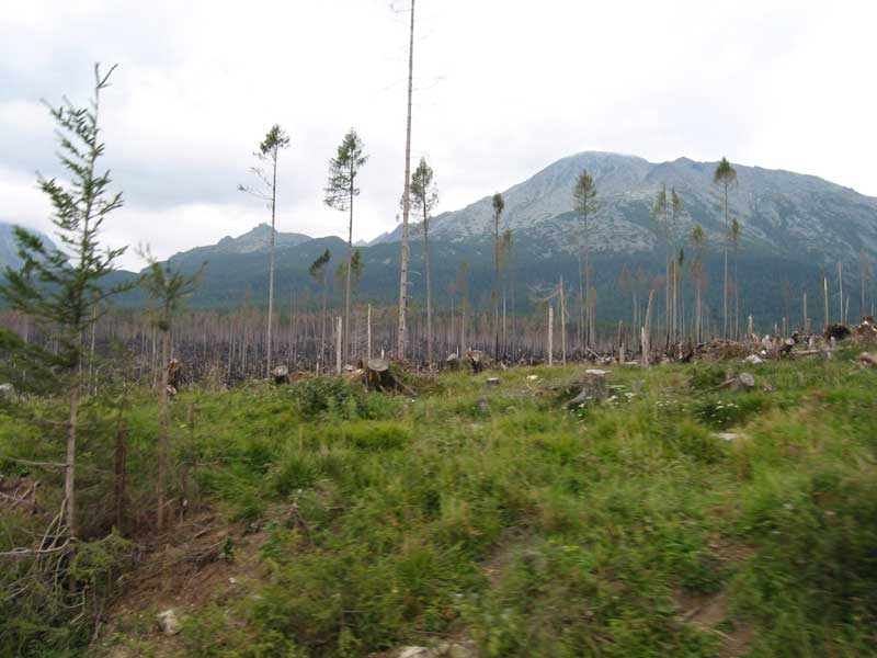 Kalamita v Tatroch