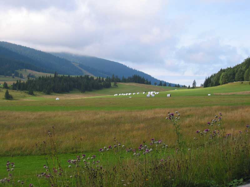 Sedlo Besník