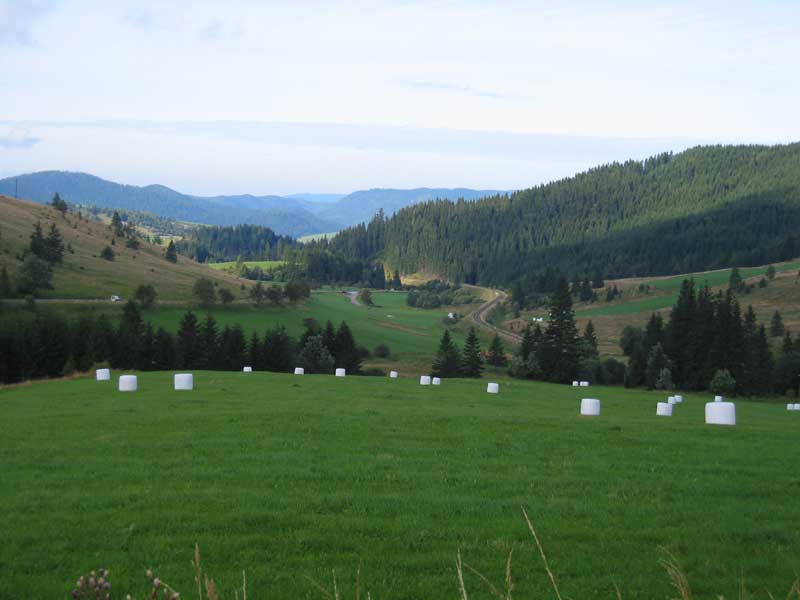 Sedlo Besník