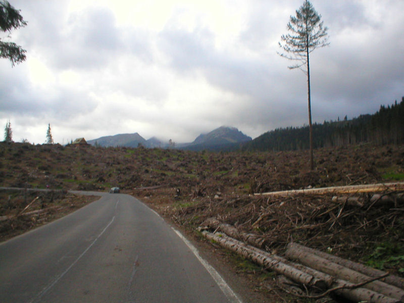 Cesta na Štrbské pleso